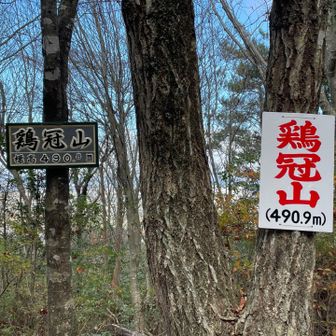 スタートから40分