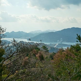 伯方・大島大橋