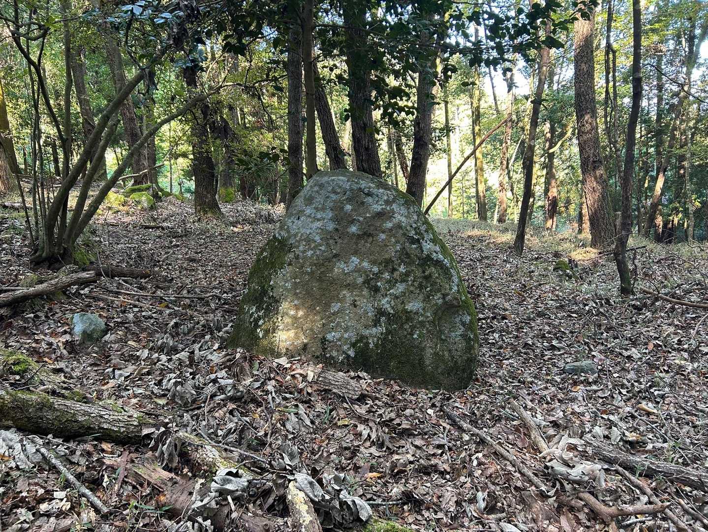 徐々に大中小の岩があちらこちらに😁
巨石群、、、早く見てみたい！