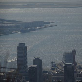 鍋蓋山山頂から、神戸港へ入港する船舶、停泊する船舶が見えました。