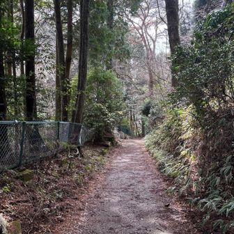 六甲山・長峰山・摩耶山 なんて平和な…