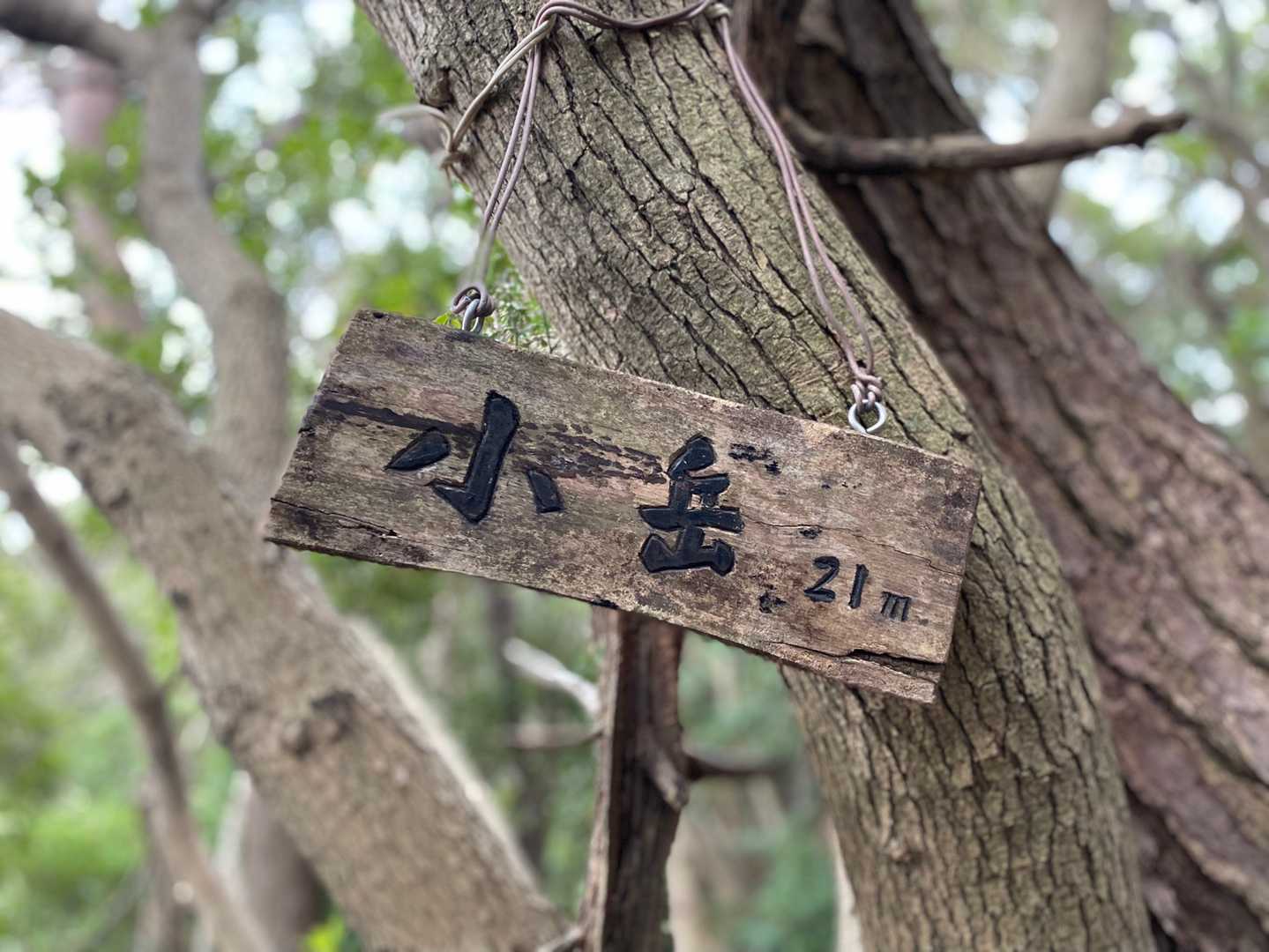 小岳21m。23分の山行でしたとさ。
