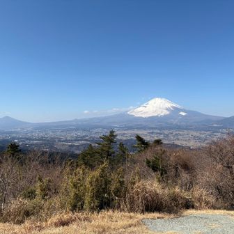 ベンチがあって、先に着いた方々ランチ中