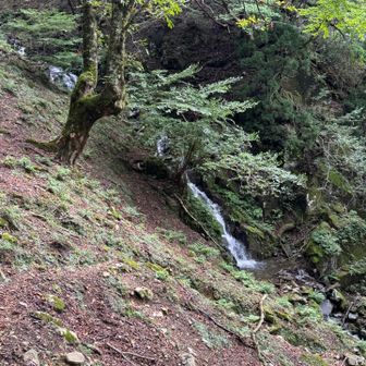 崩落で道なき道を下ります。なかなか険しい💦ここを越えると今度はザレザレの細い登山道の下り。なかなか気を使います😓