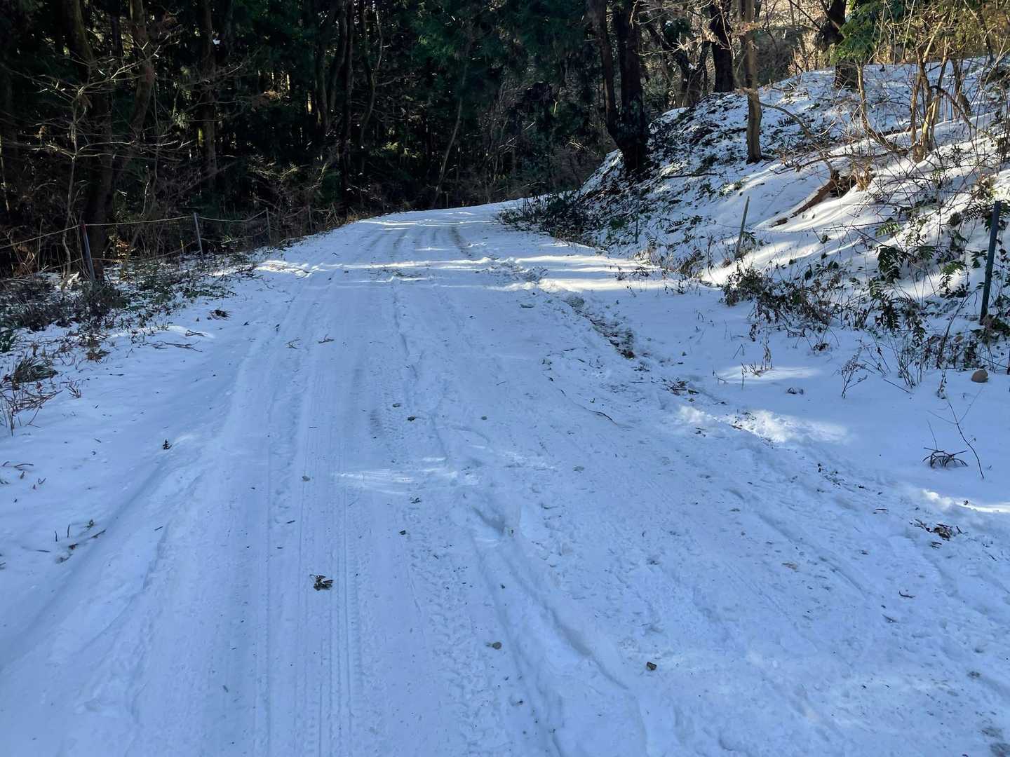 林道になりました。ツボ足で大丈夫。