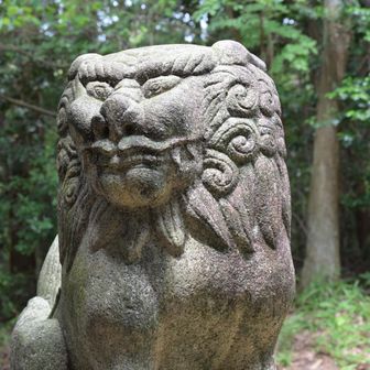 高蔵神社へ戻ってきた
