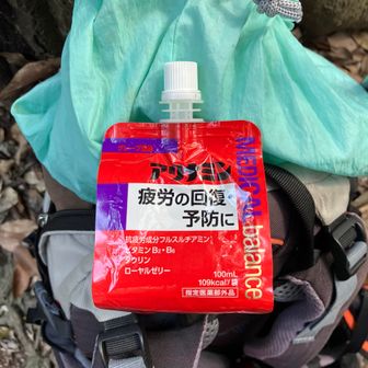 ここでいつものアリナミンゼリーを摂取して休憩