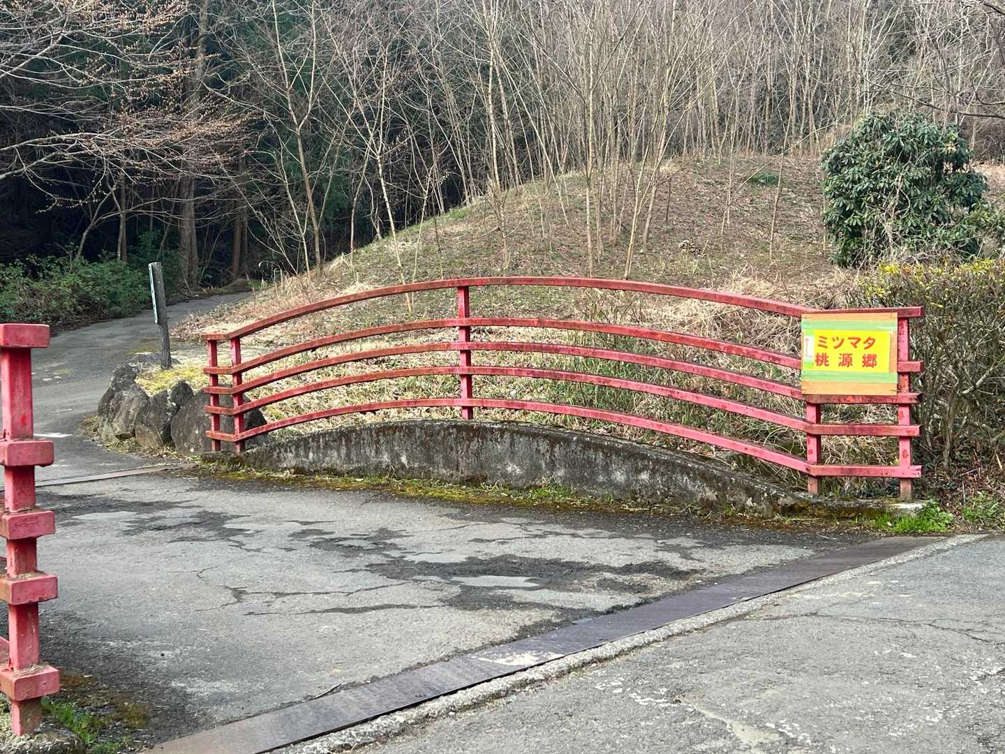 舗装路を歩き
ミツマタ桃源郷へ