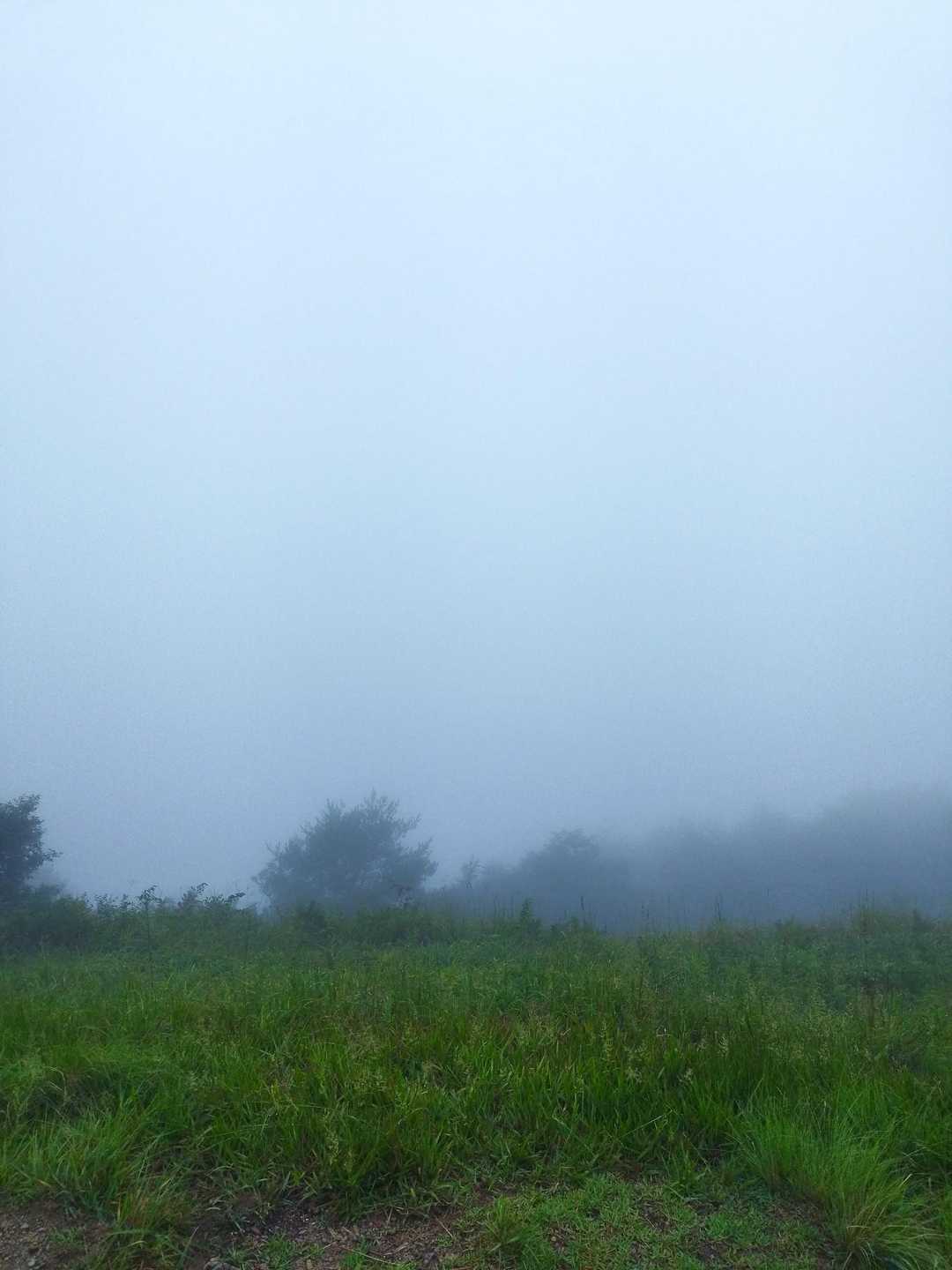 真っ白毛🏔️💦