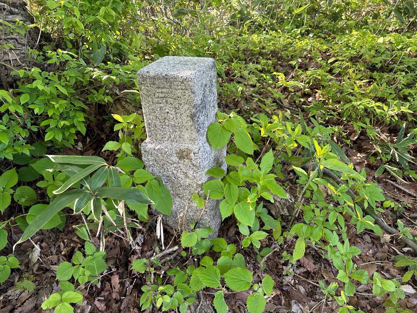 三等三角点△
安谷