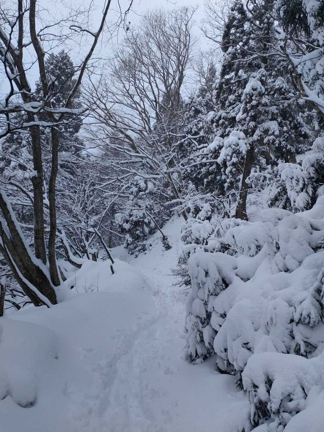 モノトーンの世界をつき進む🏃