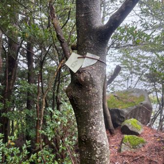 登頂！