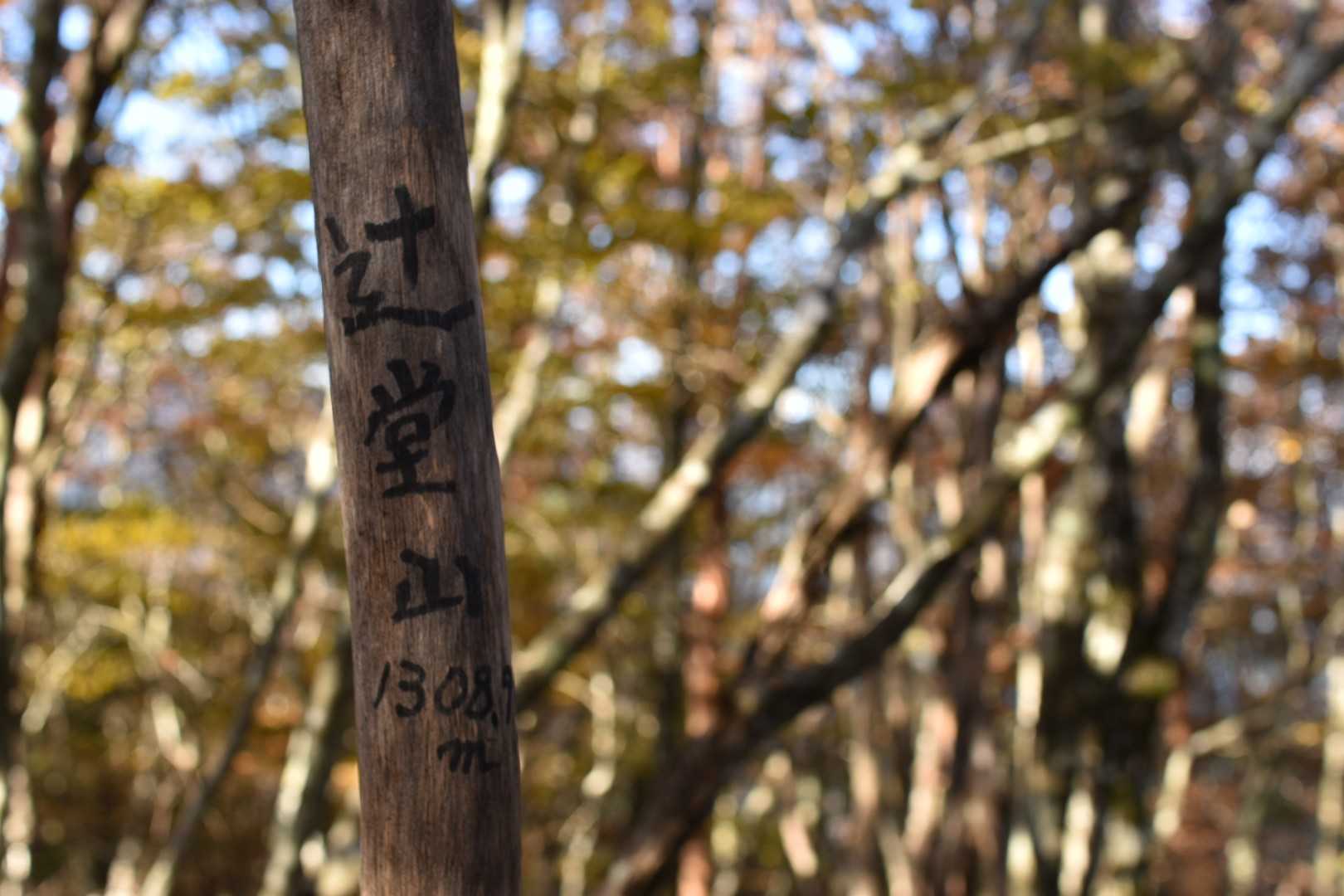 はいっ、辻堂山到着！！
ではいきますかっ(￣▽￣)ﾆﾔﾘ！！

さぁさぁ始まるワンダーランド！
あなたを連れてくアナザースカイ！
石堂山プロジェクト×HALLOWEENパーリーーーっ(*ノﾟДﾟ)八(*ﾟДﾟ*)八(ﾟДﾟ*)ﾉｨｪｰｰｰｰｰｰｨ！！！
皆おバカに弾けろレッツ・おフザけダンシングっ💃🕺❗スターっ㌧！！！