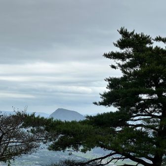 高崎山