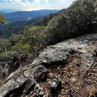 ここも五人くらいは座れます