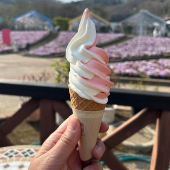 暑くてソフトクリーム食べちゃった🍦
🍓のソフトクリーム🍦