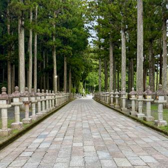 その後
京都の”東寺（とうじ）”を
密教の根本道場とするなど

宗教界に
絶大な足跡を残しました >>