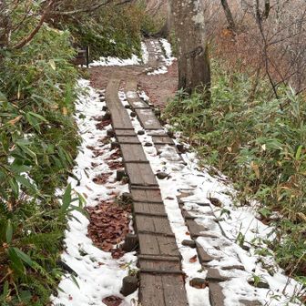 途中には雪☃️も