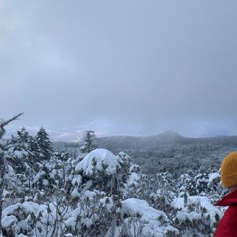 若い方と談笑☺️
ニュウに行きかけたけれど
強風でトレースが消えていたので
途中で引き返したそう😳
などと話を聞いていると
一瞬霧が抜けてニュウが見えました😳
遠いなぁ🤔