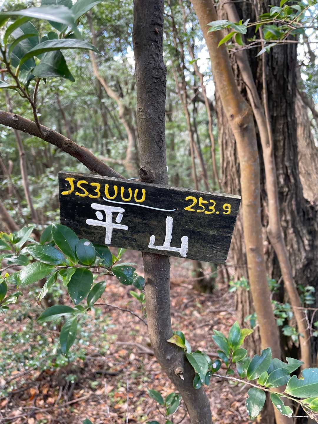 平山（大阪府）の写真