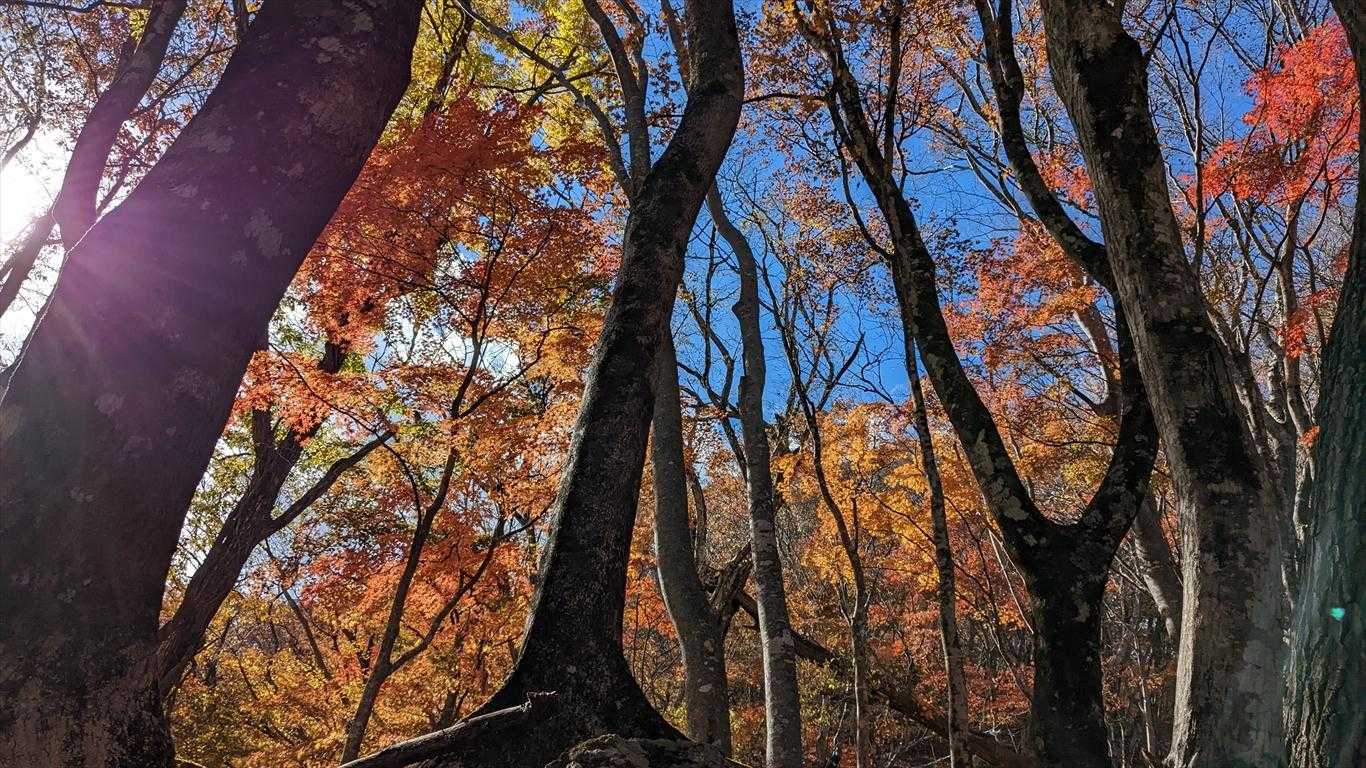 南平山 往復コースの写真