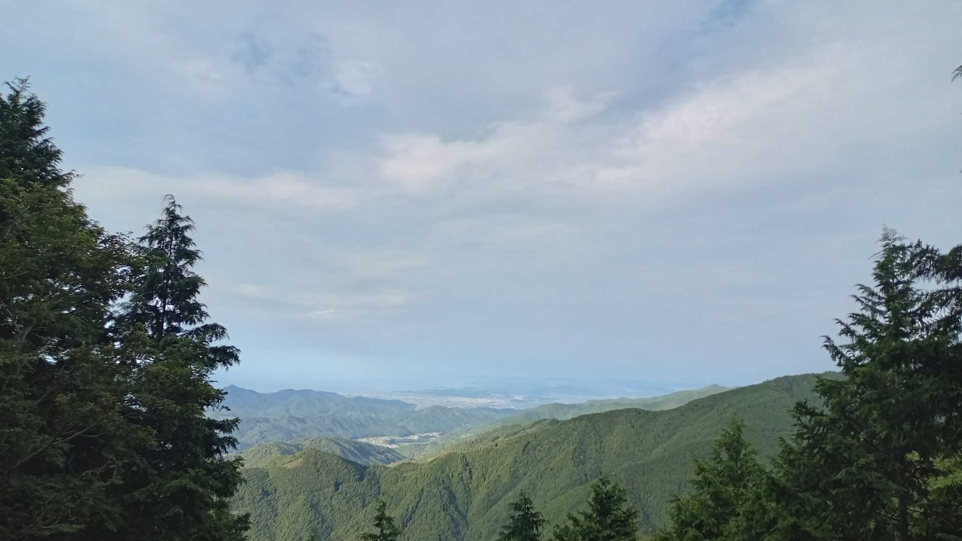 展望所
