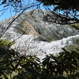 甲武信岳に向かう斜面が真っ白