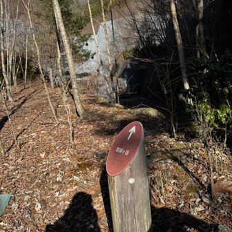 ここから雪頭ヶ岳はひたすら眺望なしの急登！いや〜大変そう