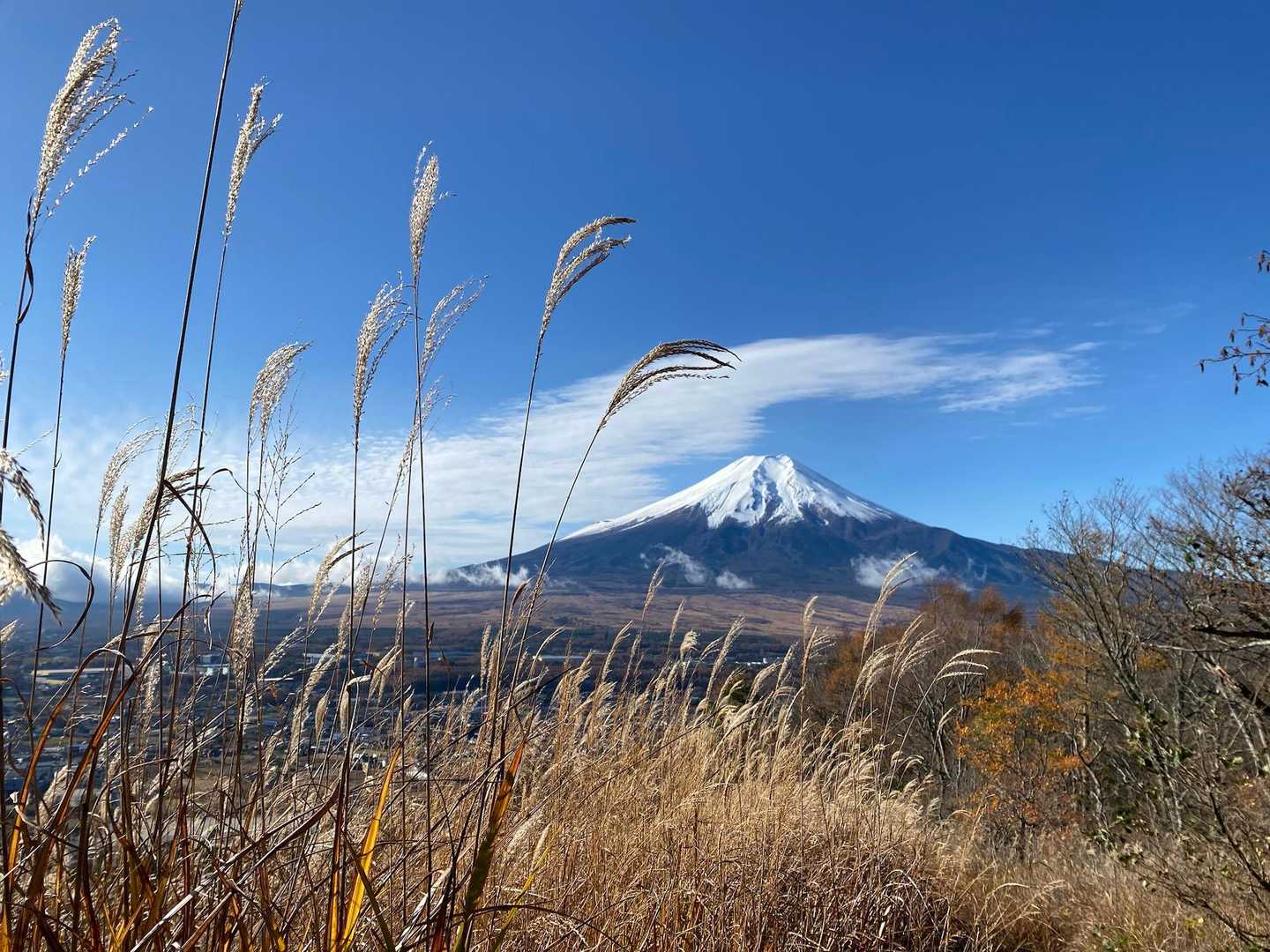 高座山に登る急登から