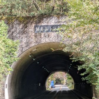 登山道が荒れていたので、車道を進むことにします