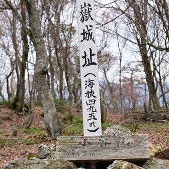 小谷山山頂