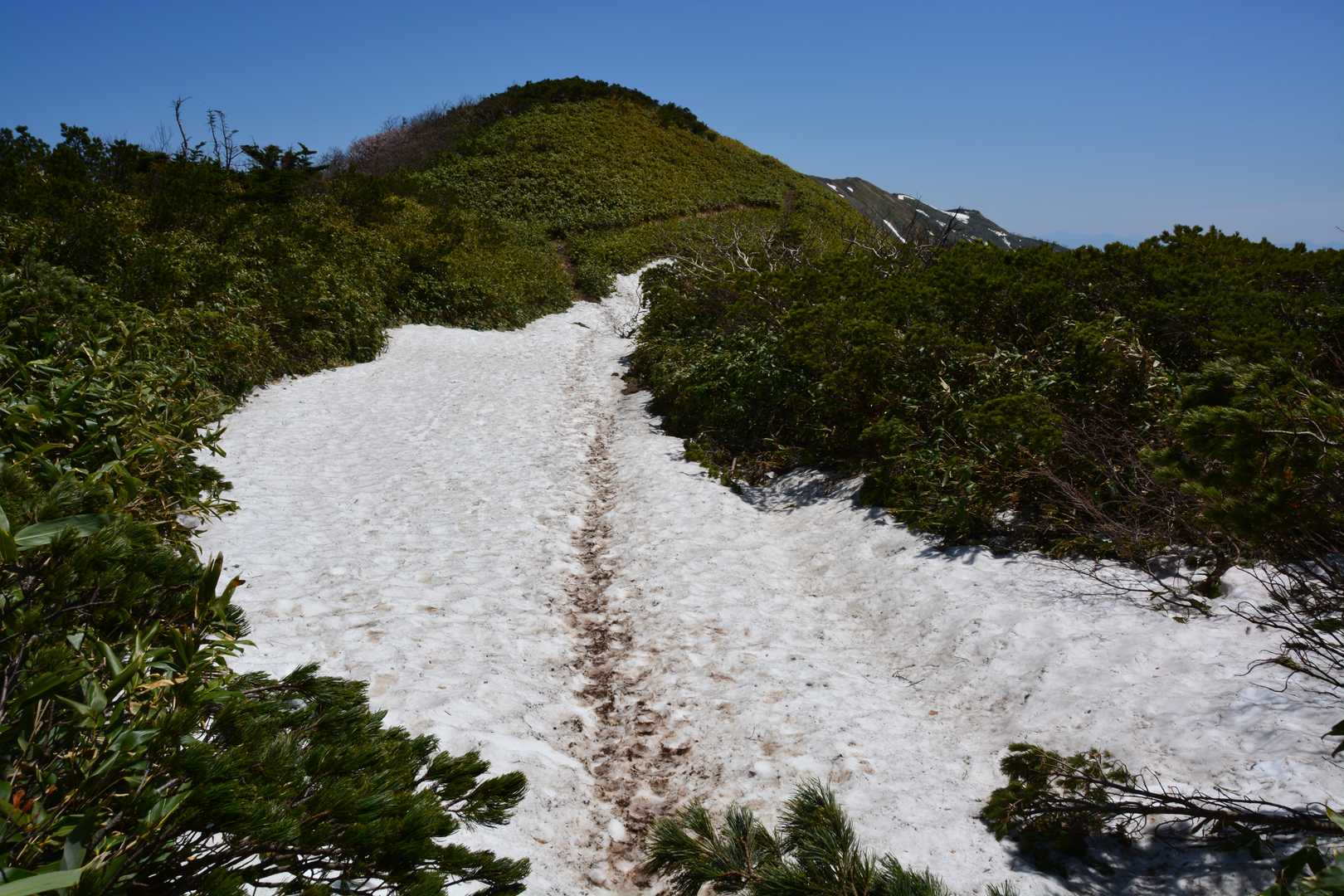 雪上をトラバース。