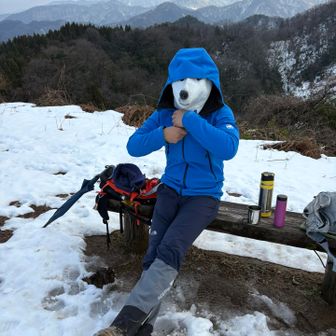 で、恥ずかしがり屋のシロクマ🐻‍❄️
