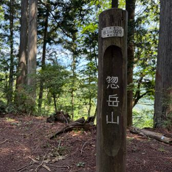 惣岳山山頂