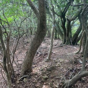 次の楠部山を目指して歩きます♪