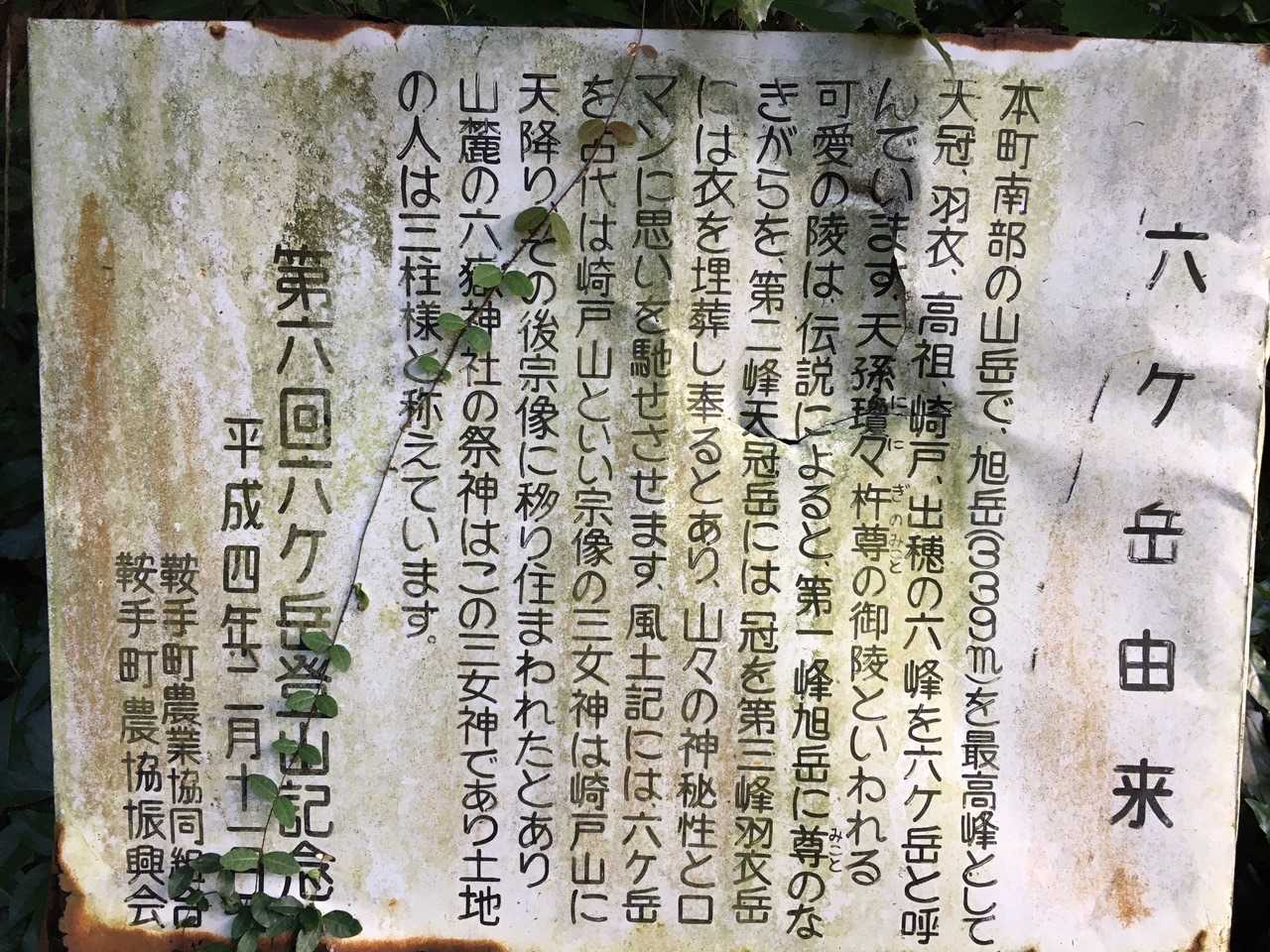 ふむふむ✨