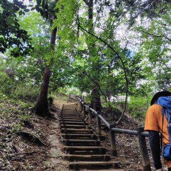 行ってみます！
登山している方にはほとんど危険なところはない道でした😊
むしろ歩きやすい✨️
登山道にもイワタバコ咲いていました💜