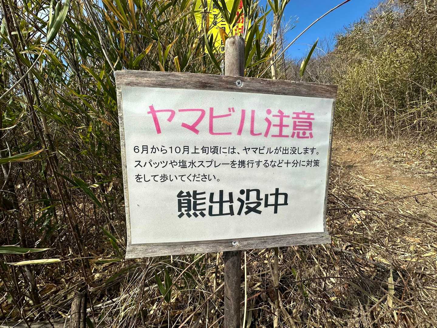 相変わらずの『熊出没中』🐻笑