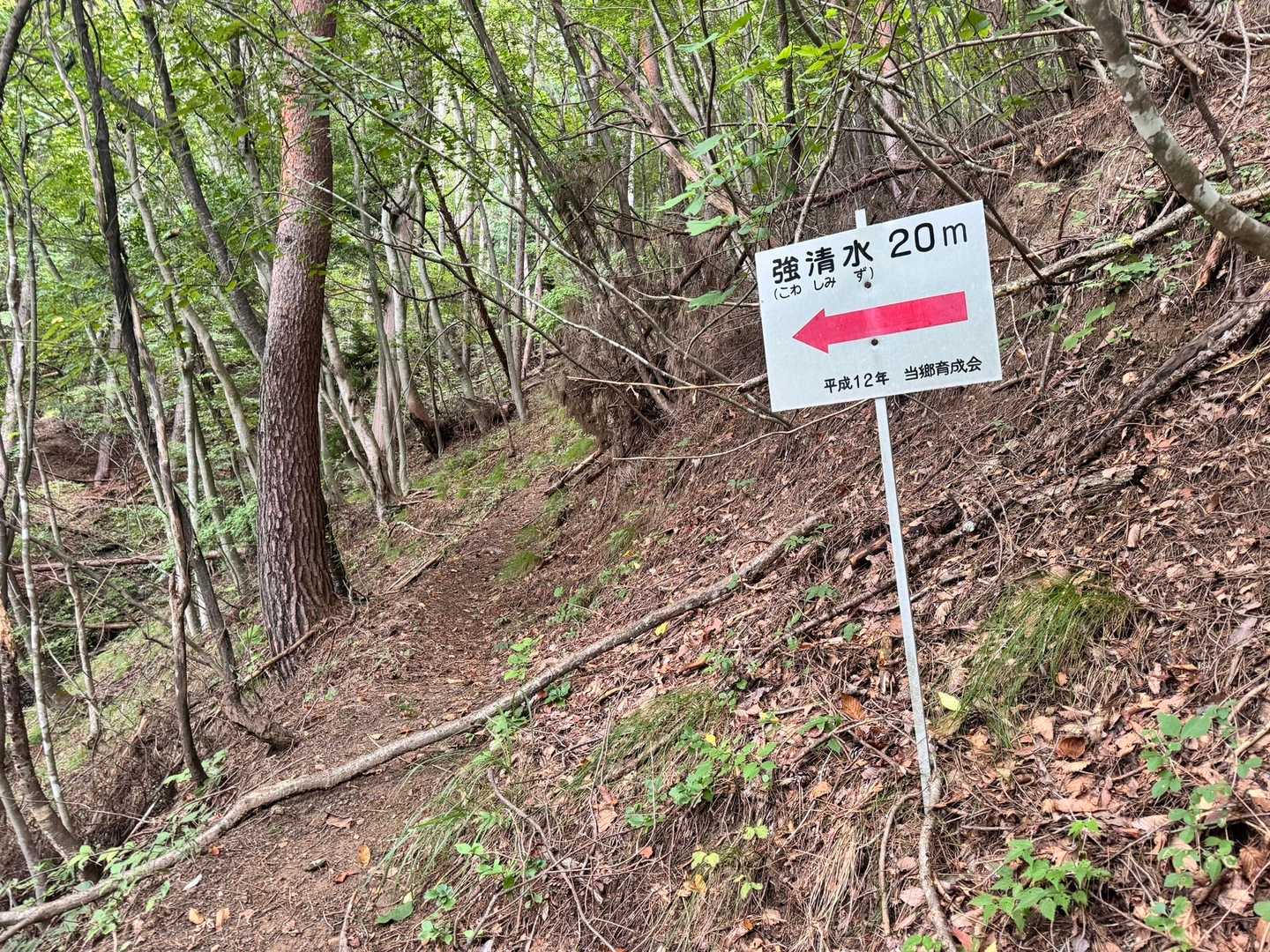 途中、強清水の看板。