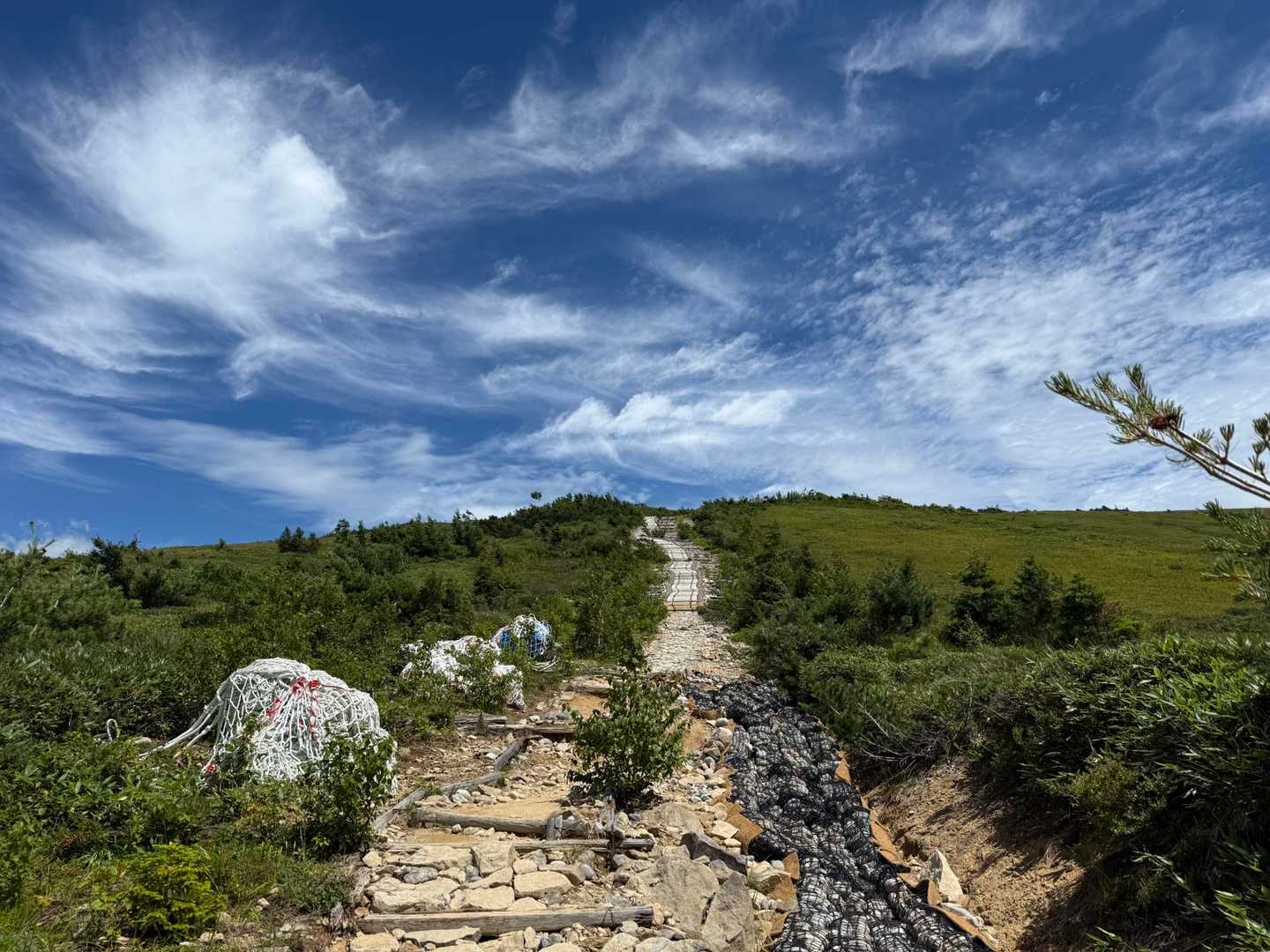 薬師岳登山口-五光岩ベンチ-太郎山 往復コースの写真