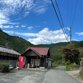 あのあたりを登ってきました