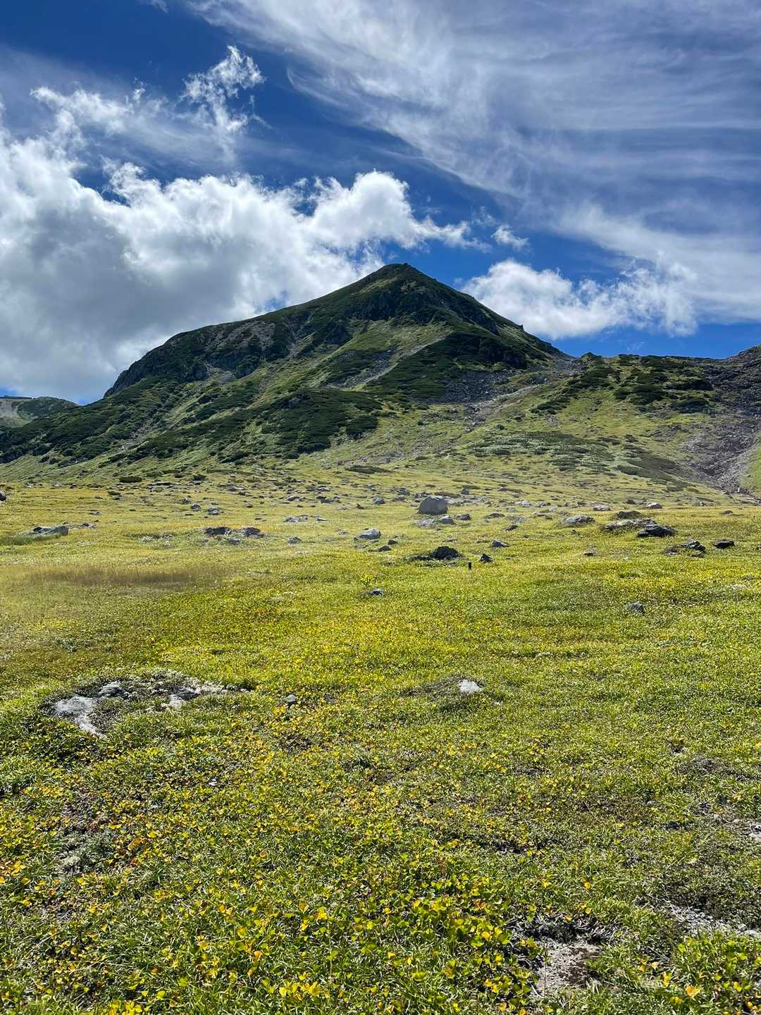 イワイチョウが少し色づき始めてます。
立山はもう秋ですねー♪