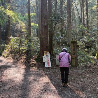二上の登山口を出発します。