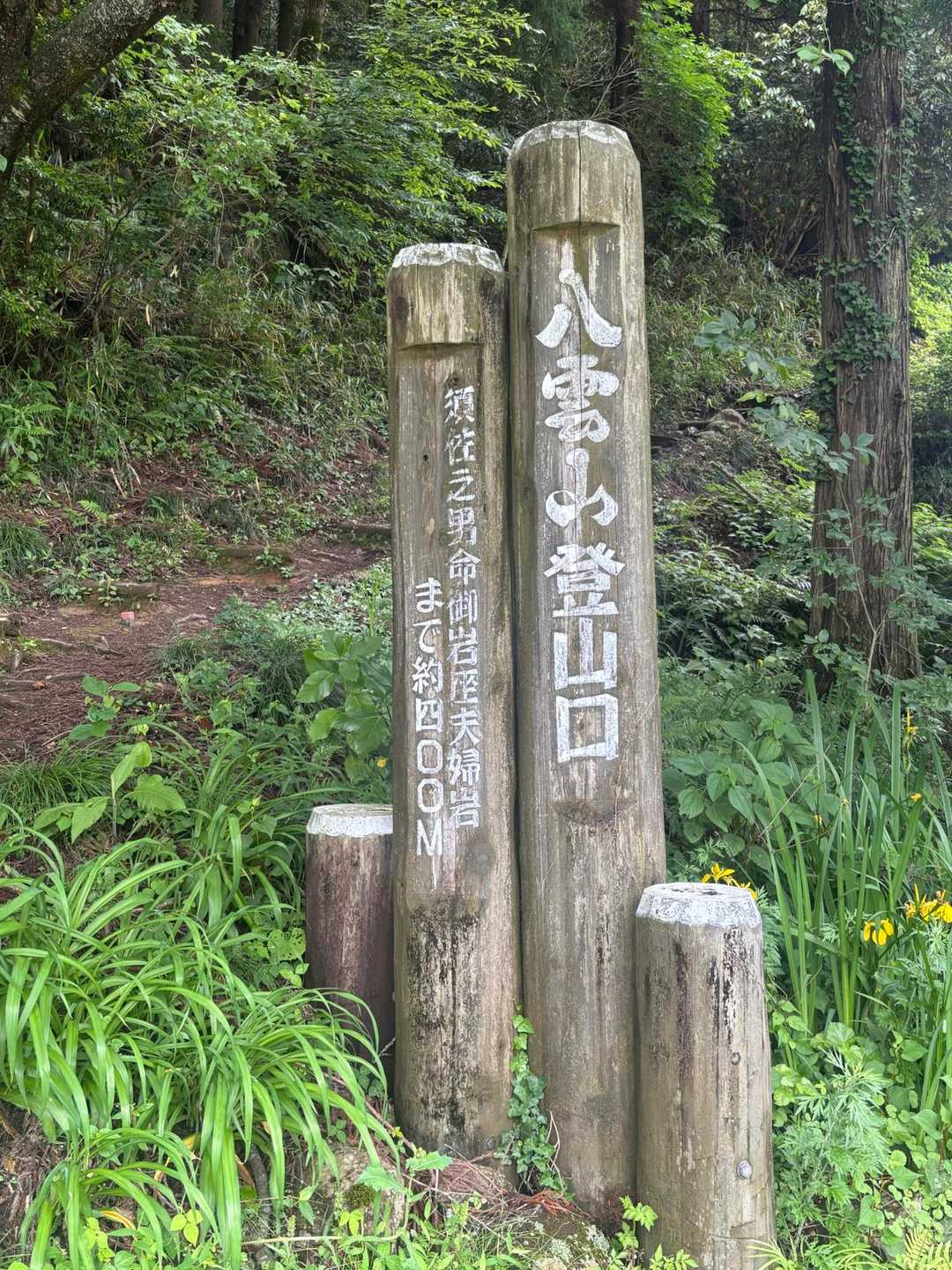 登ります💪