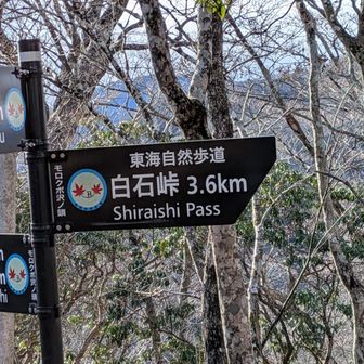 最後の急登を登り、ようやくモロクボ沢ノ頭に到着。さあ、ここから畦ヶ丸へ最後の登り！