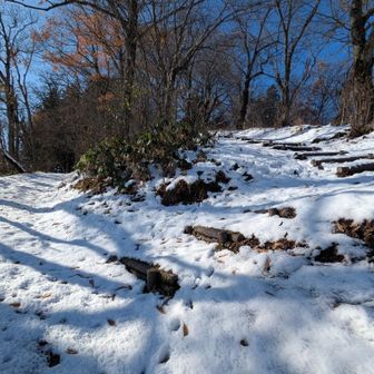 左側の作業道（簡易車道）を登って、右側の階段を降りてきました。
雪の深さとか滑り具合では車道往復のつもりで。
