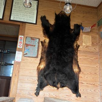 クマ🐻