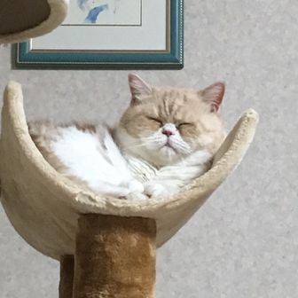 ☆やまちゃん☆😸