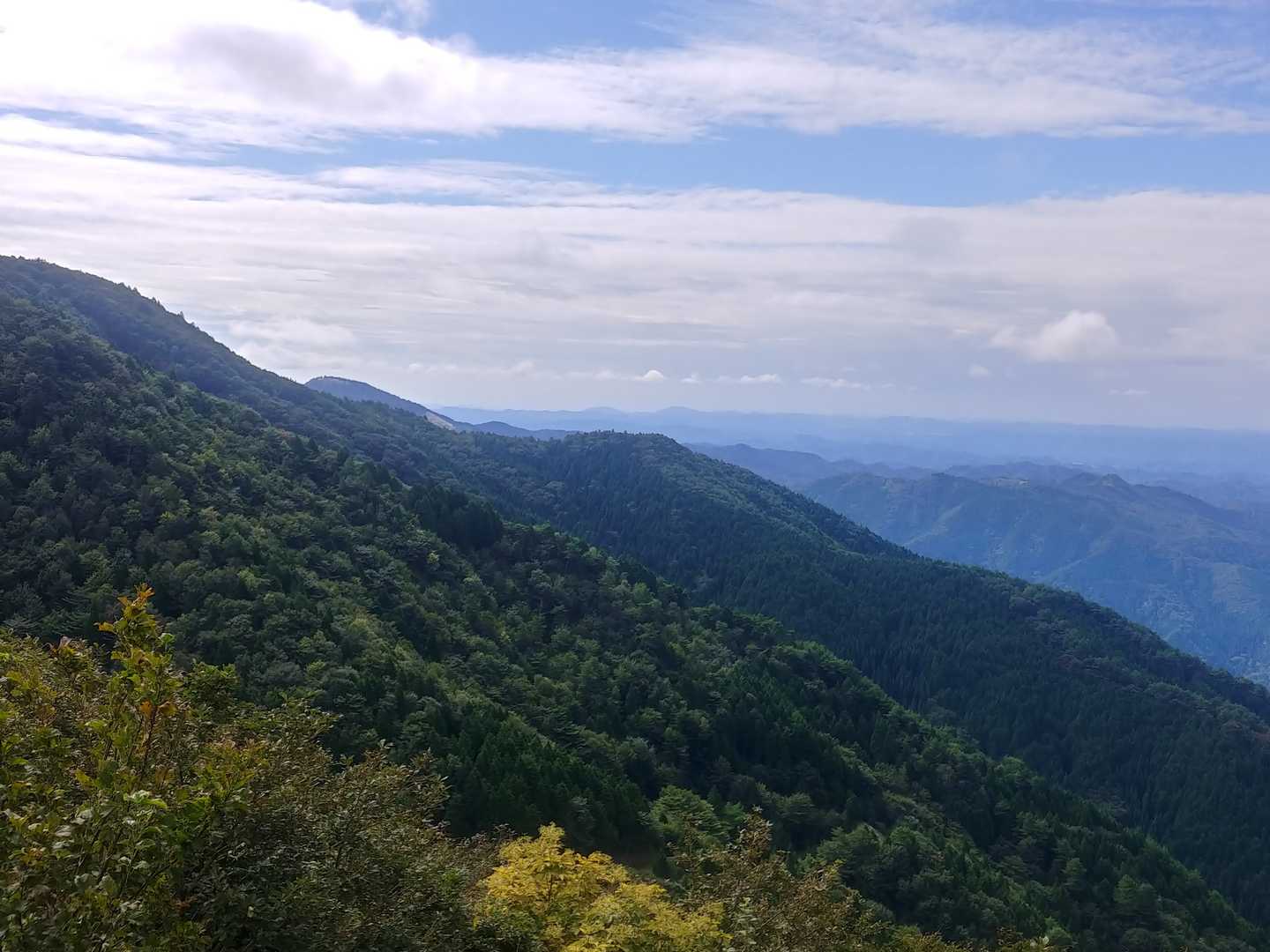 あっちはたぶん兵庫県(´ω｀)