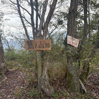 鷲の山322m山頂に着きました🔝
